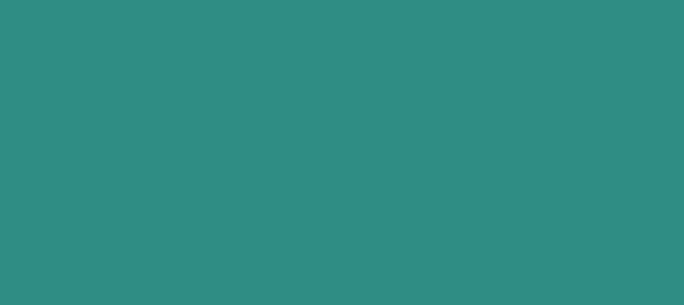 Color #2F8D84 Blue Chill (background png icon) HTML CSS