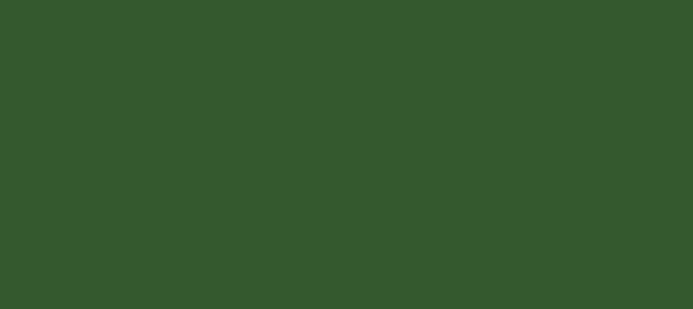 Color #34592E Green House (background png icon) HTML CSS