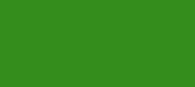 Color #348D1C La Palma (background png icon) HTML CSS
