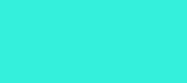 Color #34F0DC Turquoise (background png icon) HTML CSS