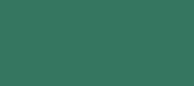 Color #357660 Genoa (background png icon) HTML CSS