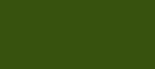 Color #37520E Verdun Green (background png icon) HTML CSS