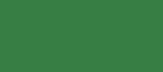 Color #377E44 Killarney (background png icon) HTML CSS