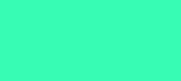 Color #37FDB2 Turquoise (background png icon) HTML CSS