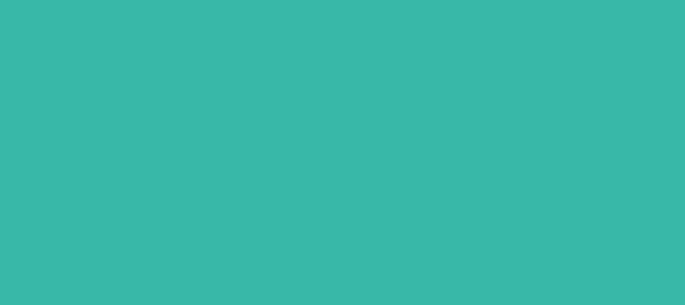 Color #38B8A8 Light Sea Green (background png icon) HTML CSS