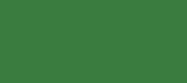 Color #397B3F Japanese Laurel (background png icon) HTML CSS