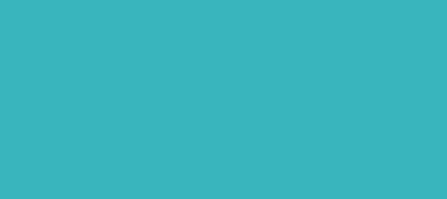 Color #39B5BD Viking (background png icon) HTML CSS