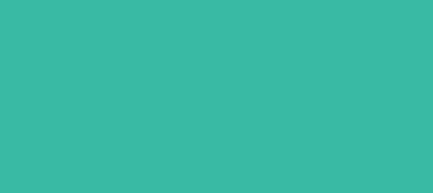 Color #39BAA4 Shamrock (background png icon) HTML CSS