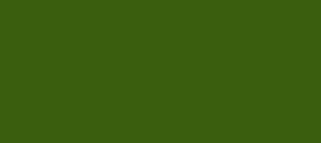 Color #3A5E0E Verdun Green (background png icon) HTML CSS