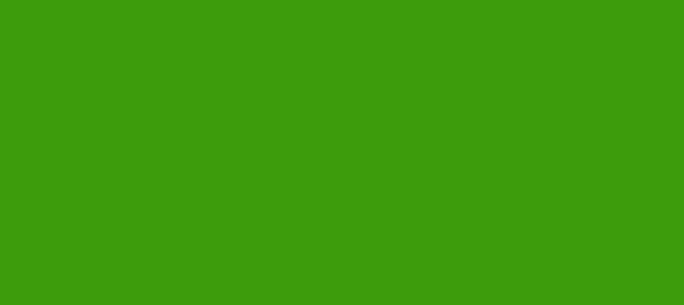 Color #3C9C0C La Palma (background png icon) HTML CSS