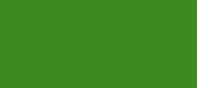 Color #3E8A1F La Palma (background png icon) HTML CSS