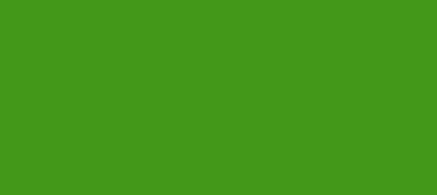 Color #44981B La Palma (background png icon) HTML CSS