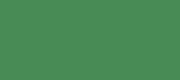 Color #488B55 Chateau Green (background png icon) HTML CSS