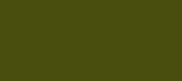 Color #494E0F Verdun Green (background png icon) HTML CSS