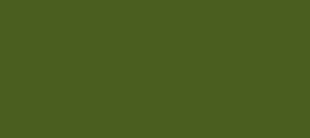 Color #495E1F Verdun Green (background png icon) HTML CSS