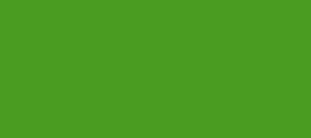 Color #4A9C21 La Palma (background png icon) HTML CSS