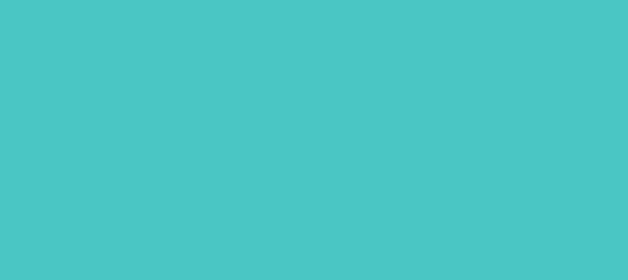 Color #4AC7C2 Medium Turquoise (background png icon) HTML CSS