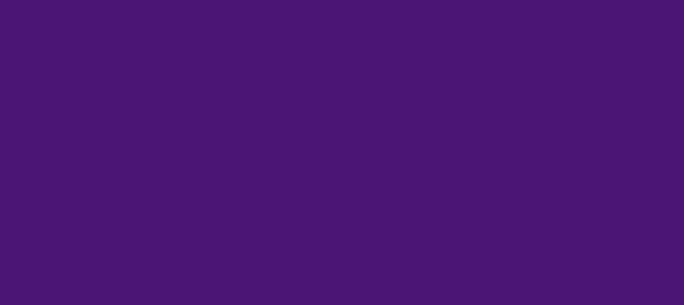 Color #4B1575 Indigo (background png icon) HTML CSS