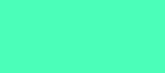 Color #4BFEB9 Turquoise (background png icon) HTML CSS