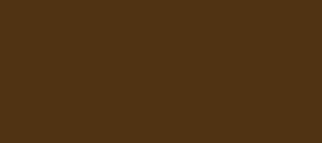 Color #503313 Brown Bramble (background png icon) HTML CSS