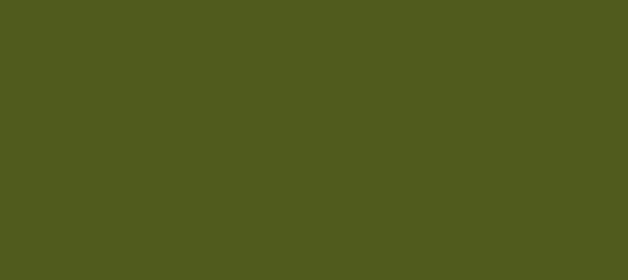 Color #505B1D Army green (background png icon) HTML CSS