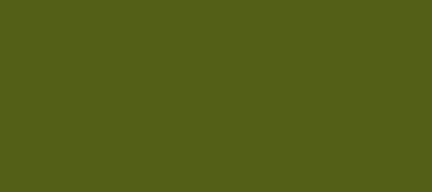 Color #535D17 Army green (background png icon) HTML CSS