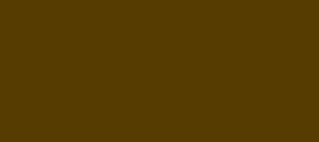 Color #563C01 Baker's Chocolate (background png icon) HTML CSS