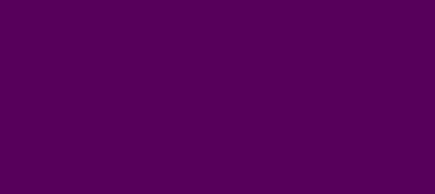 Color #57005B Palatinate Purple (background png icon) HTML CSS