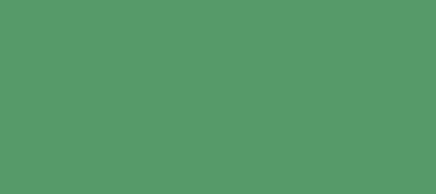 Color #579A6A Ocean Green (background png icon) HTML CSS