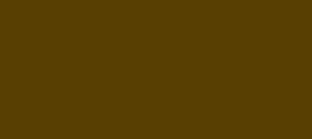 Color #583F02 Raw Umber (background png icon) HTML CSS