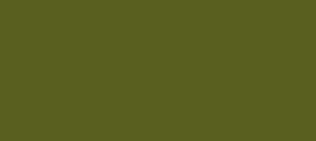 Color #595F1F Saratoga (background png icon) HTML CSS