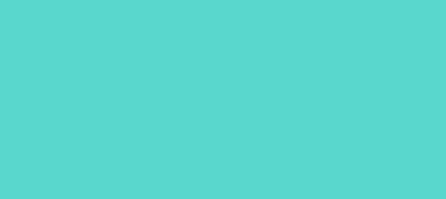 Color #59D7CD Medium Turquoise (background png icon) HTML CSS