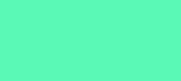 Color #5AF9B6 Medium Aquamarine (background png icon) HTML CSS