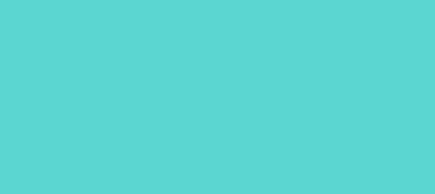 Color #5BD6CE Medium Turquoise (background png icon) HTML CSS