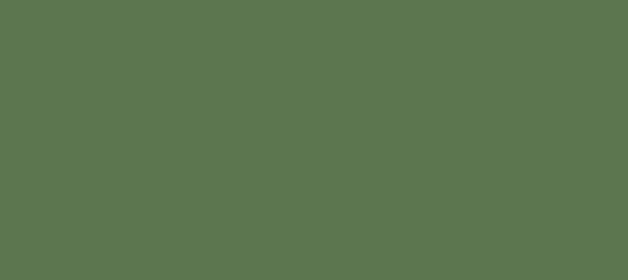 Color #5C764F Glade Green (background png icon) HTML CSS