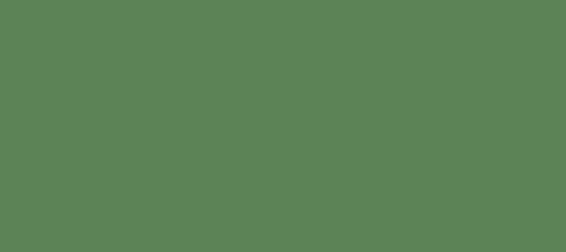 Color #5C8356 Hippie Green (background png icon) HTML CSS