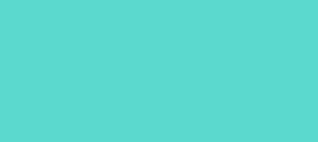 Color #5CD9CC Medium Turquoise (background png icon) HTML CSS