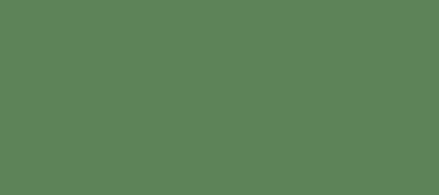 Color #5D8358 Hippie Green (background png icon) HTML CSS