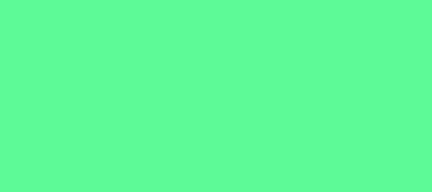 Color #5DFA97 Medium Aquamarine (background png icon) HTML CSS
