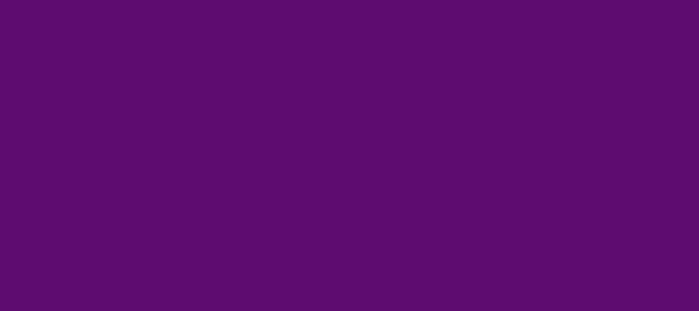 Color #5E0C70 Indigo (background png icon) HTML CSS