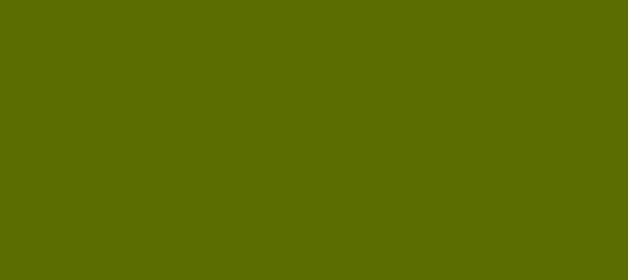 Color #5E6C05 Fiji Green (background png icon) HTML CSS