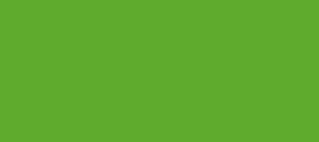 Color #5EAB2E Limeade (background png icon) HTML CSS