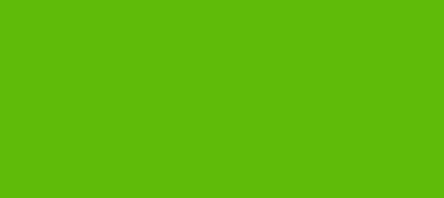 Color #5FBB09 Kelly Green (background png icon) HTML CSS