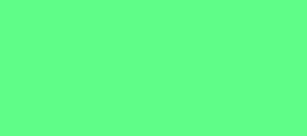 Color #5FFD88 Screamin' Green (background png icon) HTML CSS