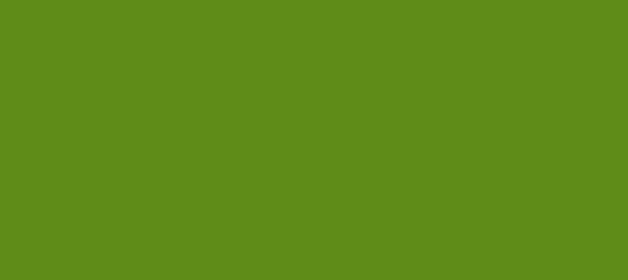 Color #5F8C18 Olive Drab (background png icon) HTML CSS