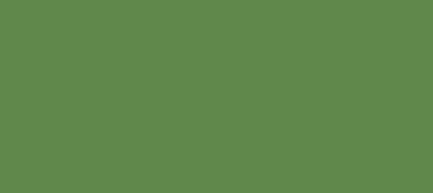 Color #60884B Glade Green (background png icon) HTML CSS