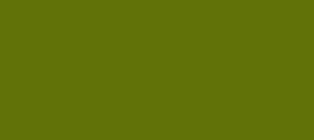 Color #627209 Fiji Green (background png icon) HTML CSS