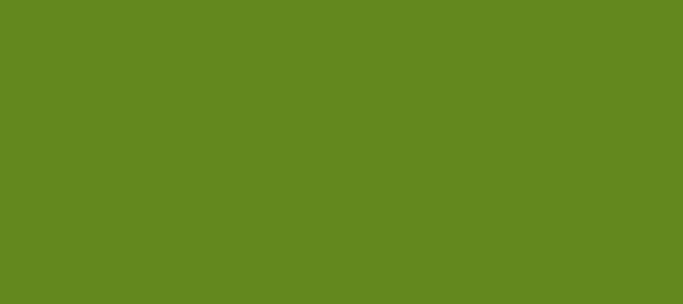 Color #62881E Olive Drab (background png icon) HTML CSS