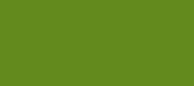 Color #638A1D Olive Drab (background png icon) HTML CSS