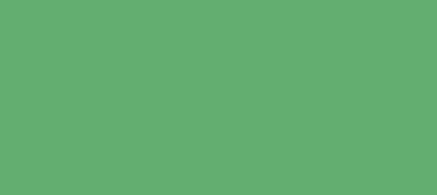 Color #63AE70 Fern (background png icon) HTML CSS